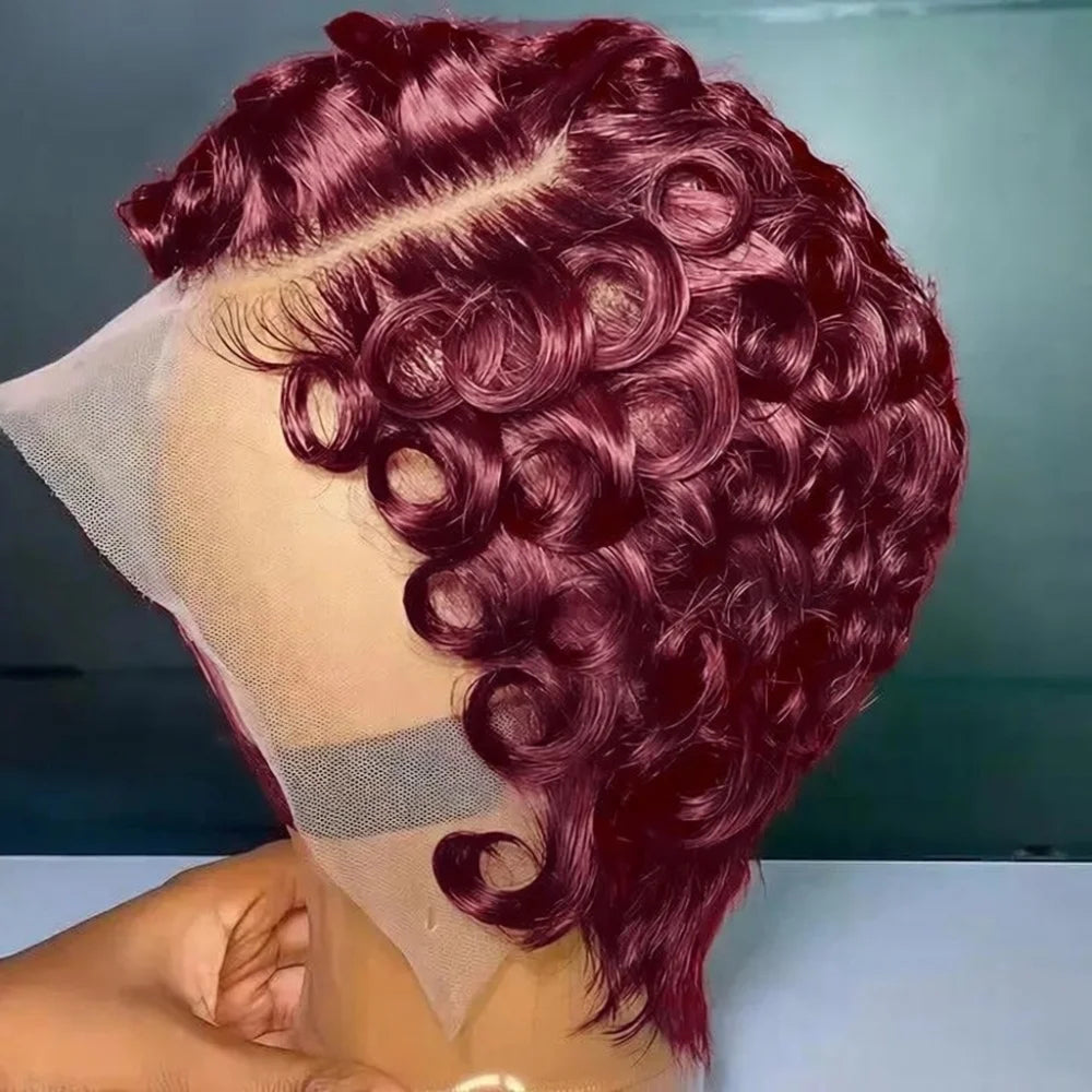 Natural Black Curly 13x4 Lace Frontal Human Hair Wig – Pre-Plucked Hairline with Baby Hair