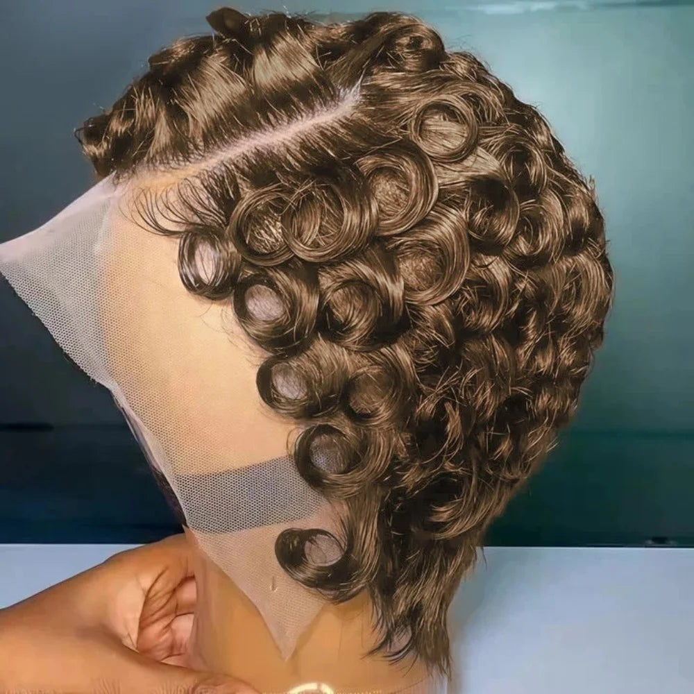Natural Black Curly 13x4 Lace Frontal Human Hair Wig – Pre-Plucked Hairline with Baby Hair