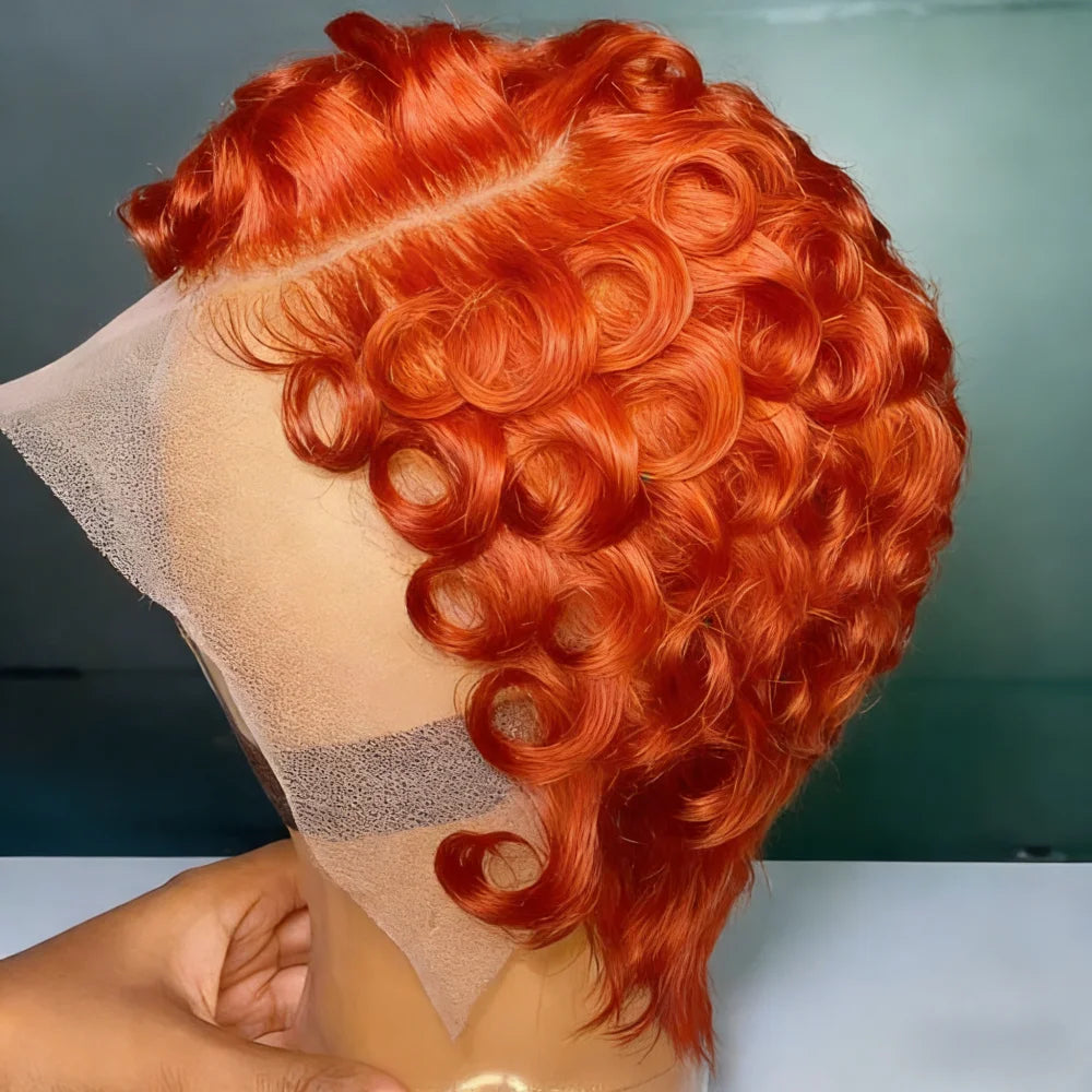 Natural Black Curly 13x4 Lace Frontal Human Hair Wig – Pre-Plucked Hairline with Baby Hair